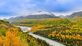 Image by Zetong Li