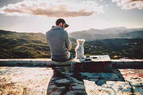 Image by Xan Griffin