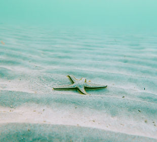 Image by Linus Nylund