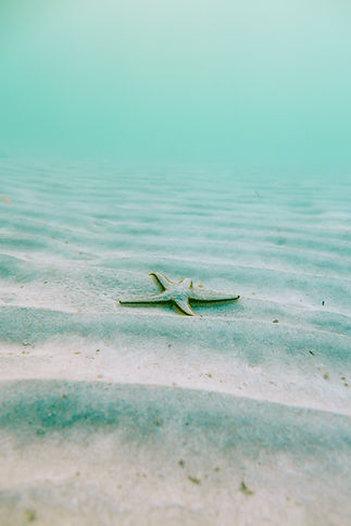 Image by Linus Nylund