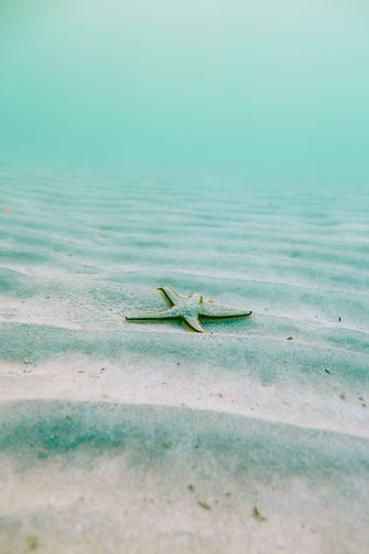 Image by Linus Nylund