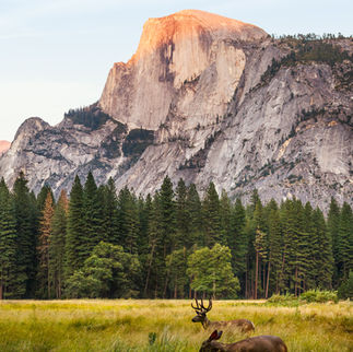 Los lugares más bonitos que ver en California