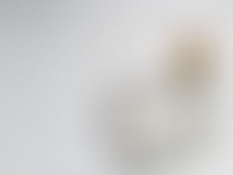 Looking Back at January 2024: Wins and What's Next