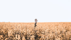 There You Are: Returning Home When The Ground Shifts