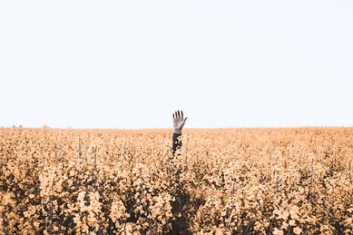 Image de Daniel Jensen