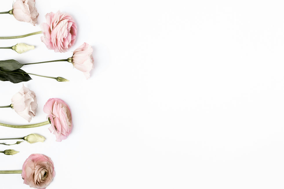 Image by Marianne Krohn
