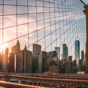 NYC Sustainable Buildings Website Launches