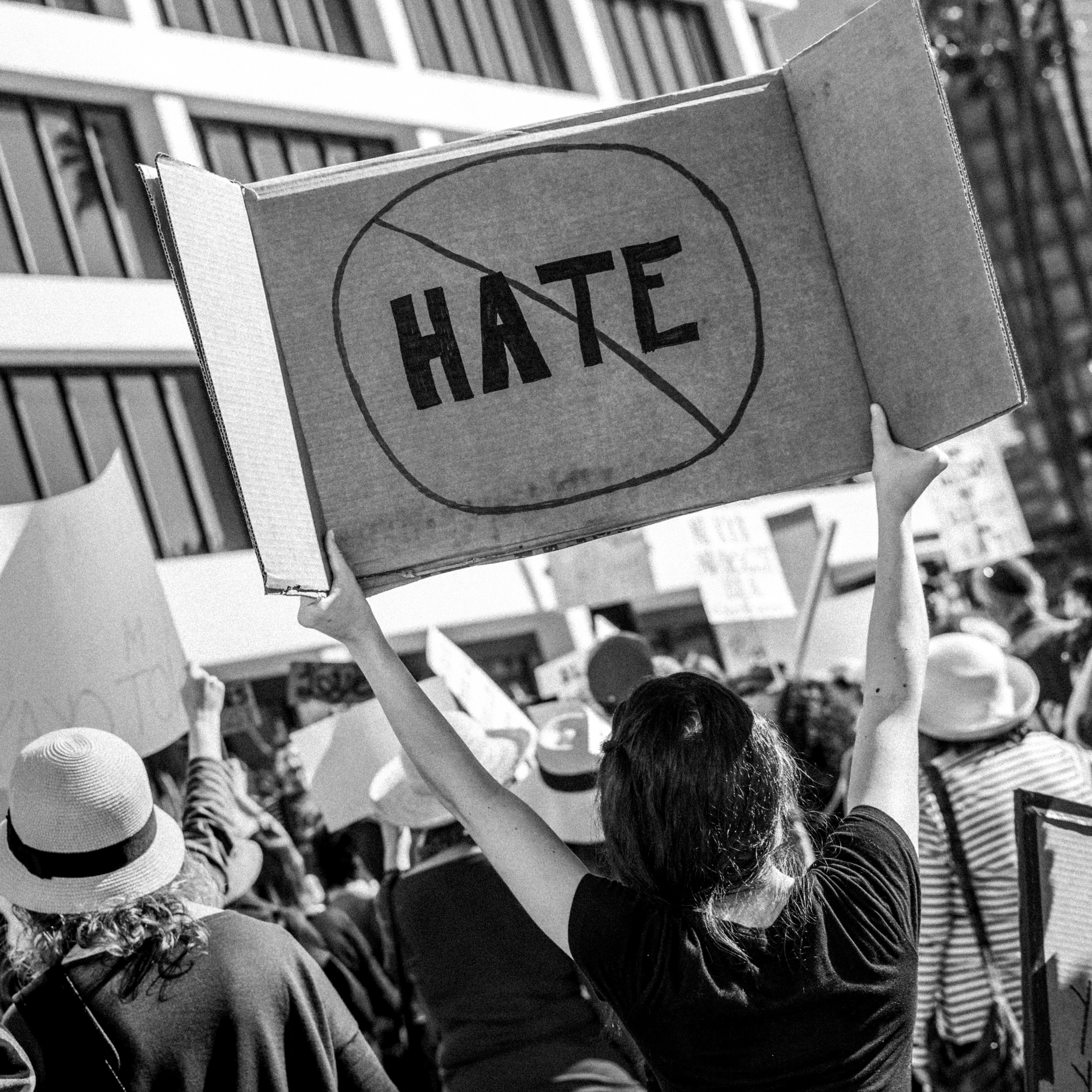 "THE HATE ANTIDOTE: Countering Radicalisation and Hate Speech"