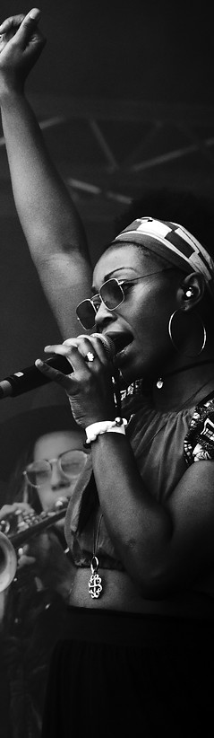 Image by Julius Drost