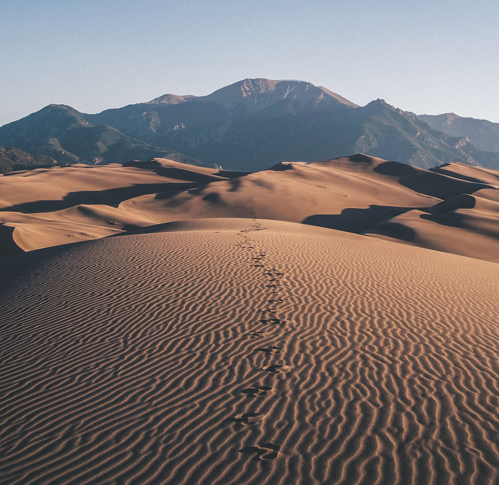Image by Derek Thomson