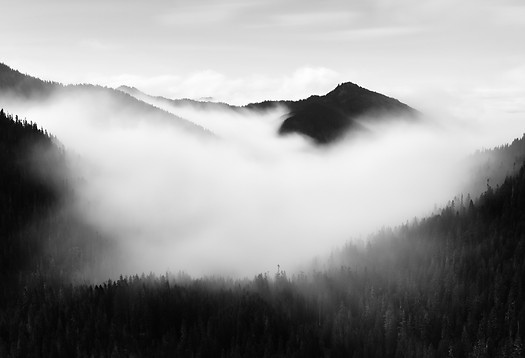 Image by Dave Hoefler