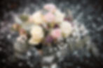 Image by Corina Rainer