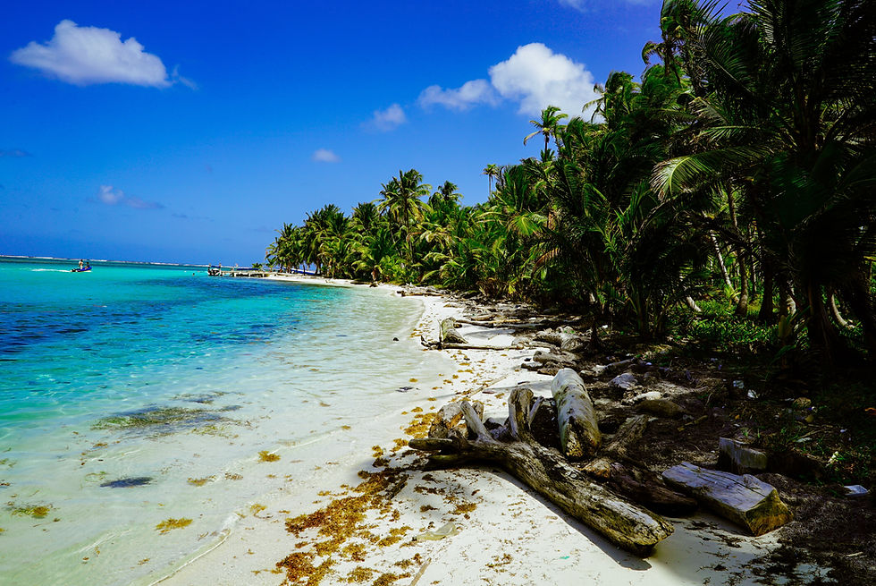 playa escondida au panama
