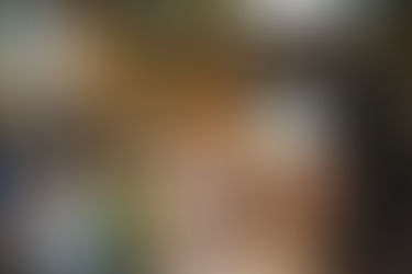 Festeggiamo insieme! Sei mesi di attività, Sei romanzi pubblicati, tanti lettori raggiunti