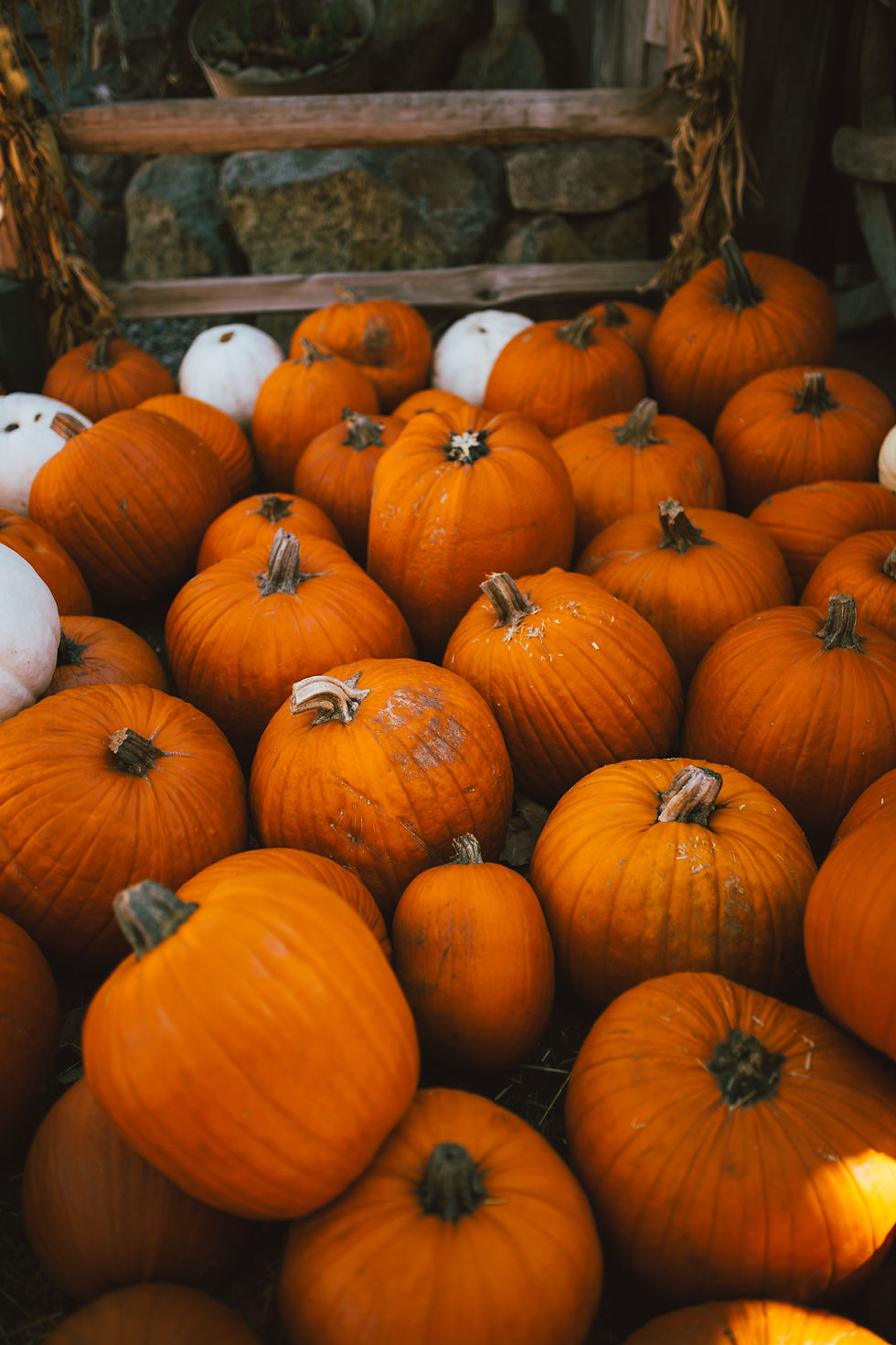 My favourite Autumn Ingredients
