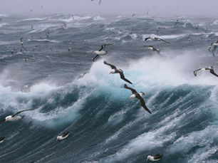 Rime of the Ancient Mariner
