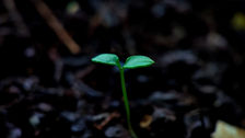 The Virgo New Moon: A Chance to Break Old Patterns and Begin Again