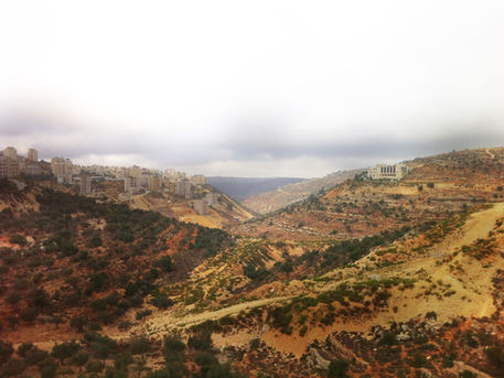 Il 24 marzo Forum degli Enti Locali per la cooperazione internazionale in Palestina