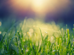 Beating Seasonal Allergies the Creekside Way! 