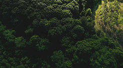 Image by Timothy L Brock