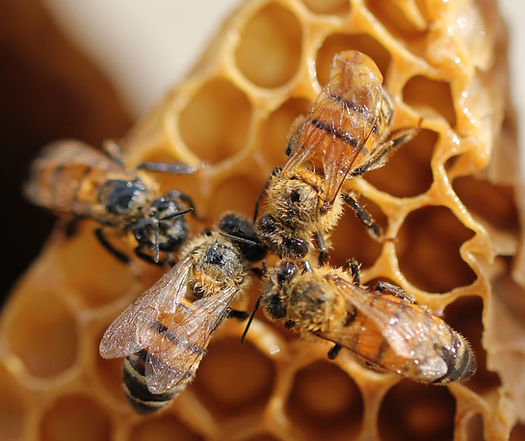 Image by Gareth Hubbard