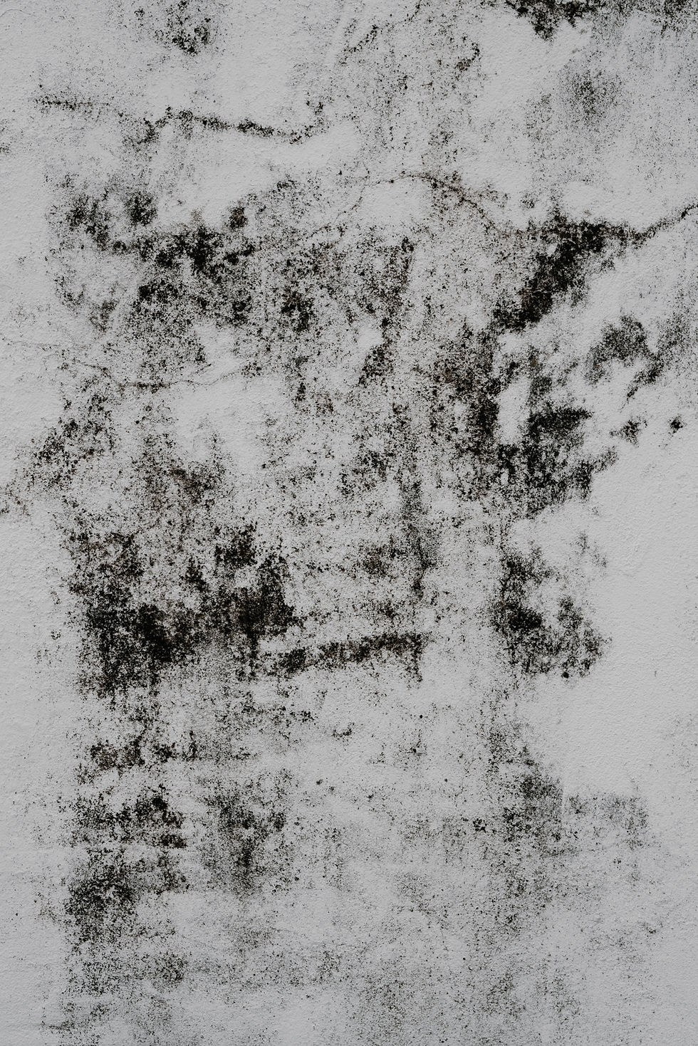 Charcoal for arts