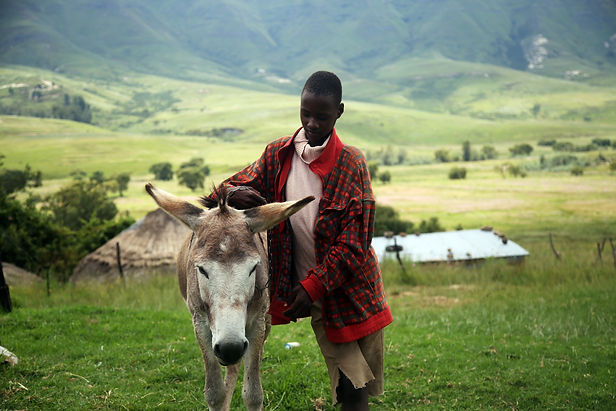 Image by Angelo Moleele