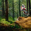 Foto del escritor: BIKELEON