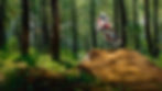 MTB-Basic I