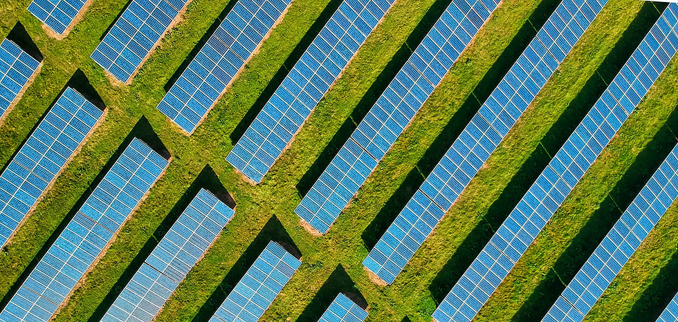 Image by Red Zeppelin