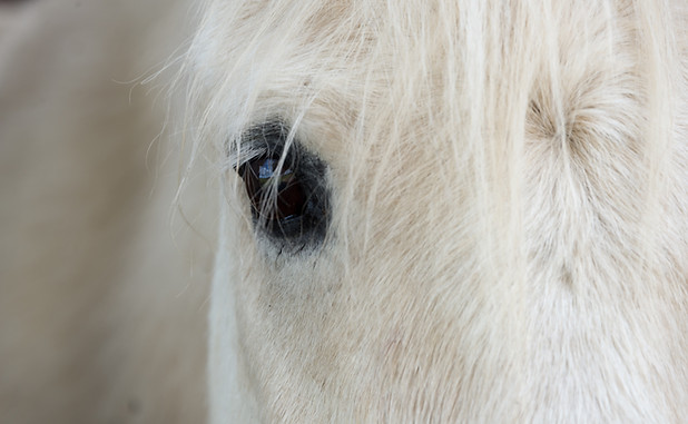 Image by chrissie kremer