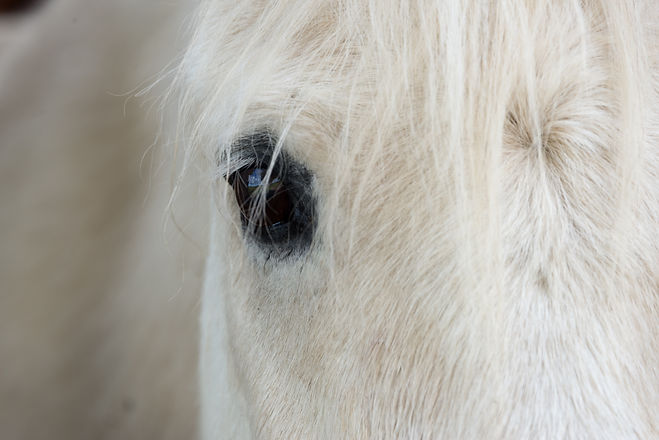Image by chrissie kremer