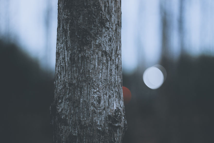 Image by Amritanshu Sikdar