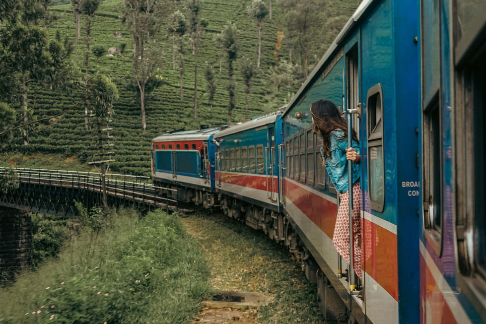 Image by Matt Dany