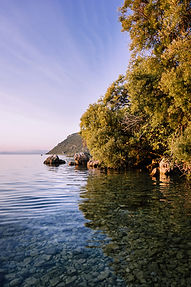 Image by Kristijan Arsov