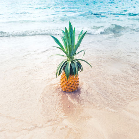 SUMMERTIME HAPPINESS