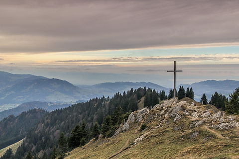Image by Thanti Riess