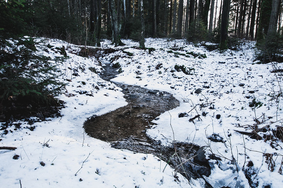Sierra Trails RV Park