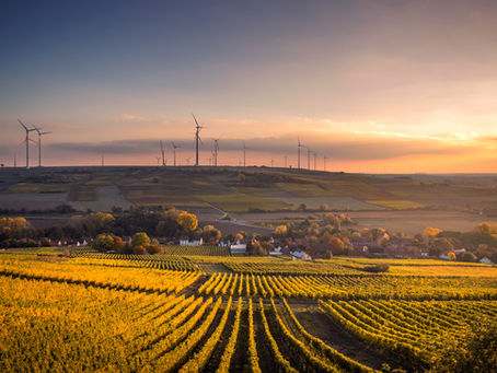 Onex acquires 221MW wind portfolio in Portugal from EDP Renewables in a €540mn EV transaction.