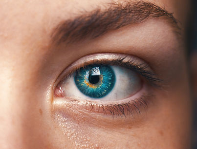 Image by Amanda Dalbjörn