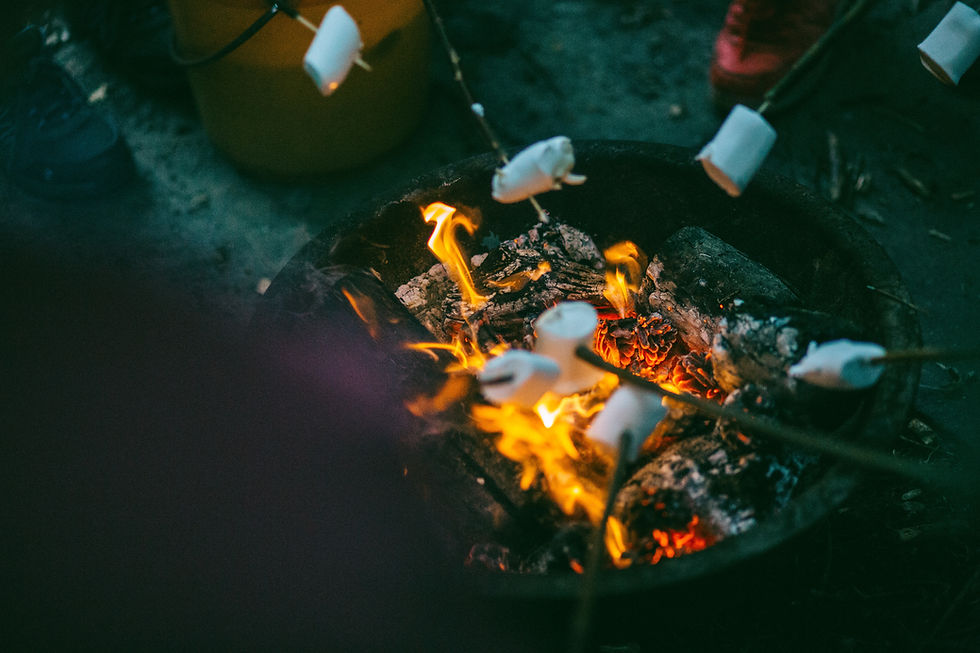 $45/night Camp Site with Firepit