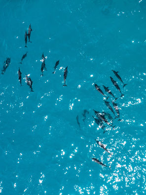 The Healing Ocean Yoga Retreat, Maldives, 25.04. - 05.02.2026, Deutschsprachiges Yoga Retreat, Ohana Yoga Studio, Elisabeth Lorbeer