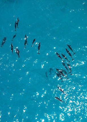 Image by Ishan @seefromthesky