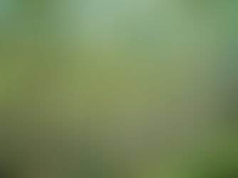 Extra subsidie voor verminderen CO2 en hernieuwbare energie