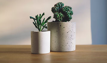 calming plants