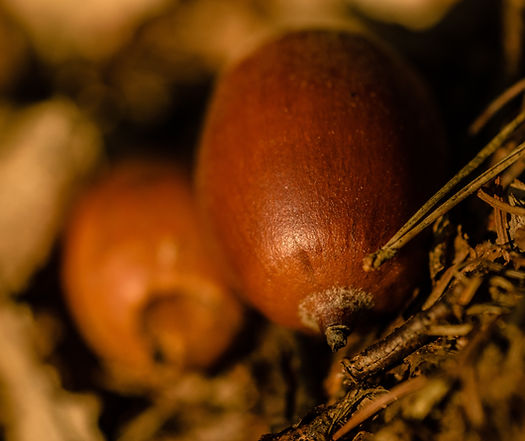 Image by Gareth Hubbard