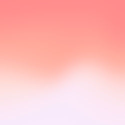 Image by Fruit Basket