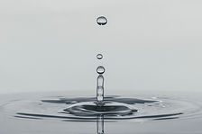 Image by César Couto