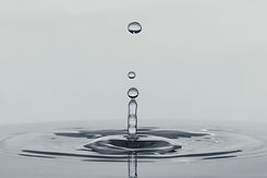 Image by César Couto