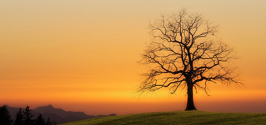 Image by Johannes Plenio